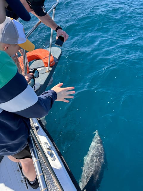 Estepona: Dolphins Searching Sea Cruise with Drink & Snacks - The crew and the family-friendly feel
