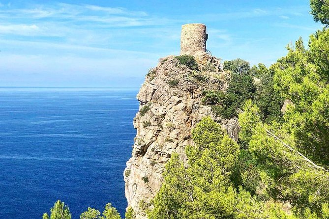 Explore Mallorca in Your Own Formula One Car - Palma’s port adds an urban pause