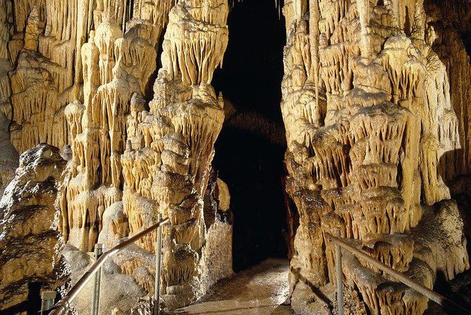 Explore Mallorca: Majorica Pearl Shop and Caves of Drach - What the bus ride means for your day