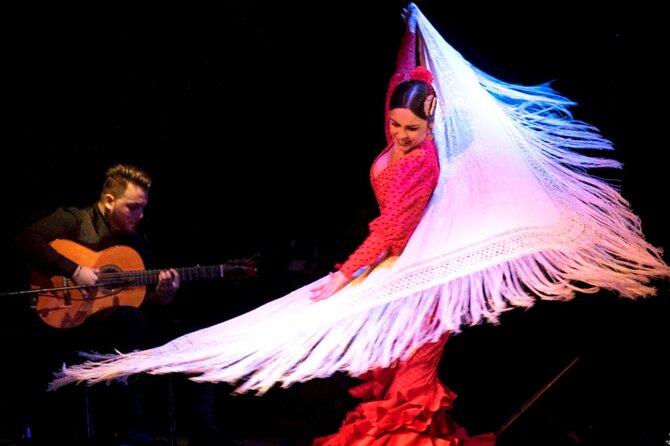 Flamenco Show at Dalmases Palace in Barcelona - Who should book this flamenco show?