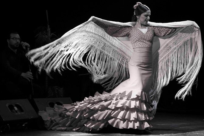 Flamenco Show Ticket at Theatre Barcelona City Hall - What the production does well