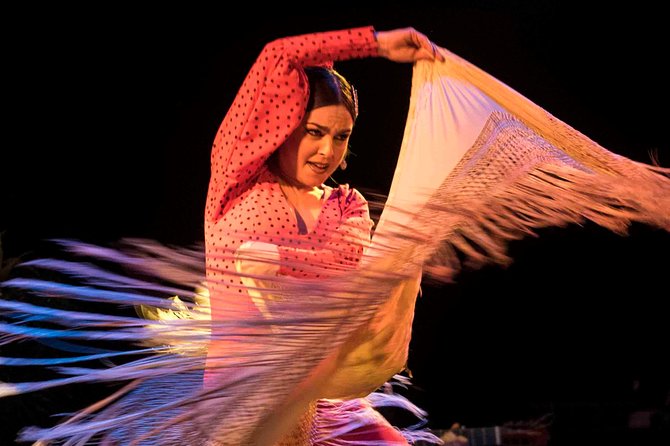 Flamenco Show Ticket at Theatre Barcelona City Hall - Where expectations should be realistic