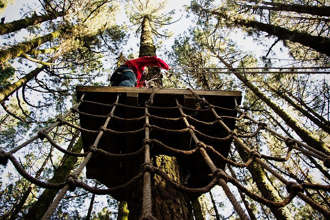 Forestal Park Tenerife Entrance Ticket - Climbing into the Canary pines