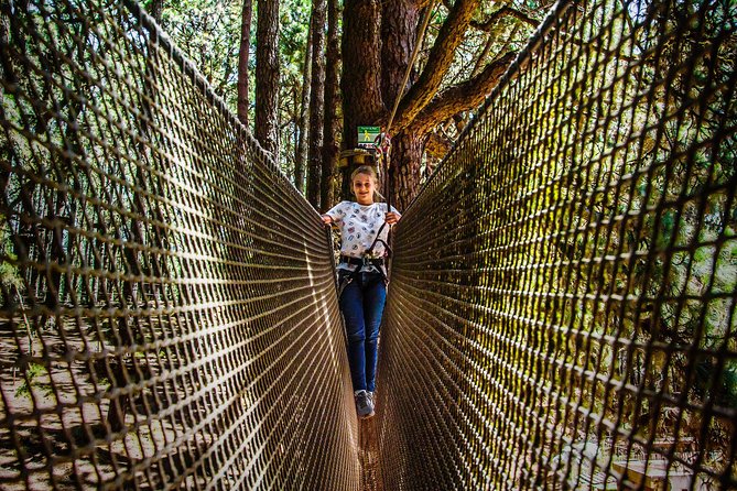 Forestal Park Tenerife Entrance Ticket - Weather, cancellation, and practical limits