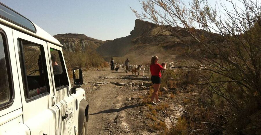 From Almeria: Tabernas Desert 4WD Joyriding Tour - The Meeting Point in Tabernas Village