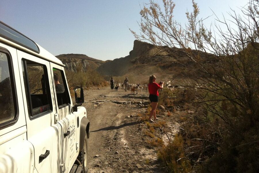 From Almeria: Tabernas Desert 4WD Joyriding Tour - What the 4WD Adds to the Experience