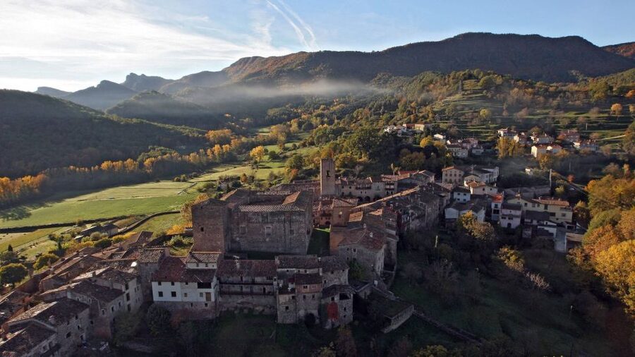 From Barcelona: Besalú & Medieval Towns Tour w/ Hotel Pickup - The guide can shape the whole experience