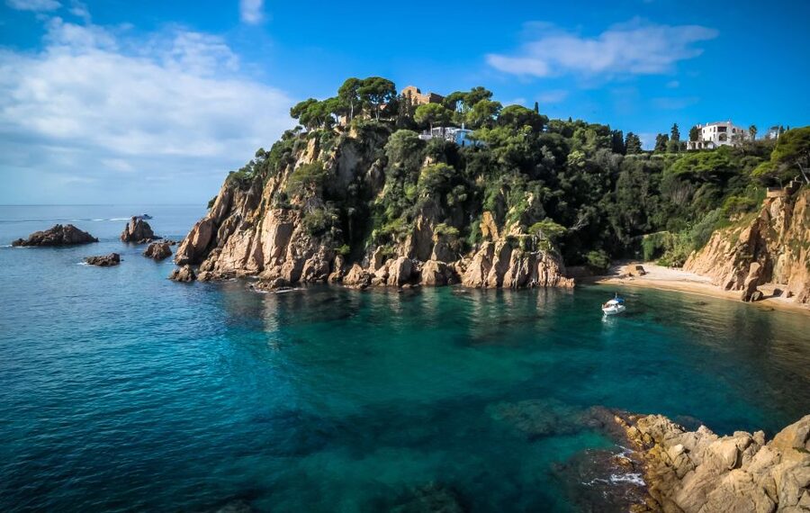 From Barcelona: Costa Brava Day Tour with Lunch - Cliff-top plants at the Botanical Gardens