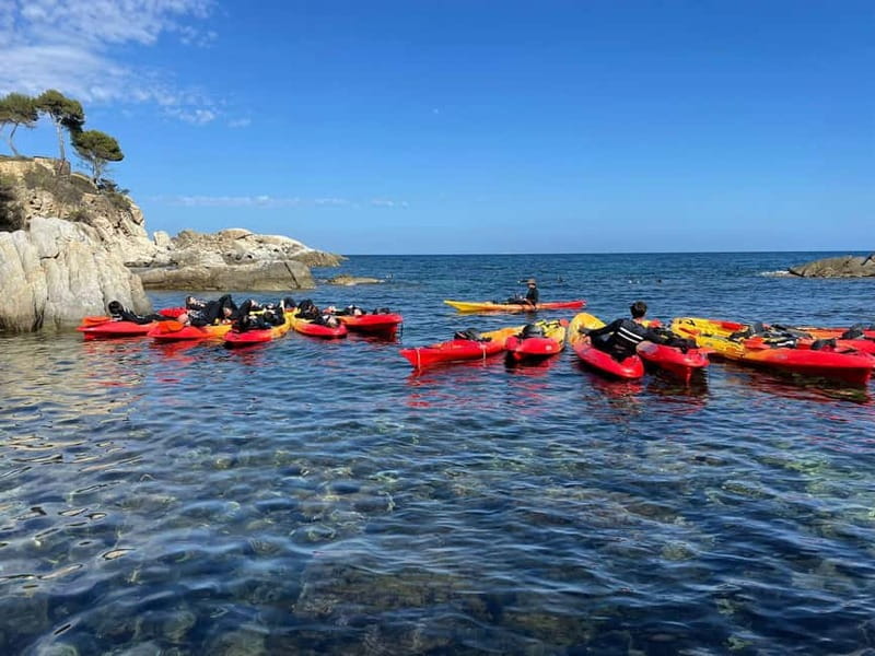 From Barcelona: Costa Brava Kayak & Snorkel Tour with Picnic - What the $68 price really covers