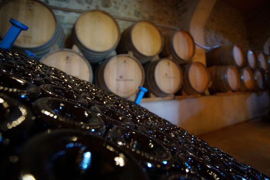 From Barcelona: E-Bike and Sailing Tour with Wine Tastings - Sailing back along the Catalan coast