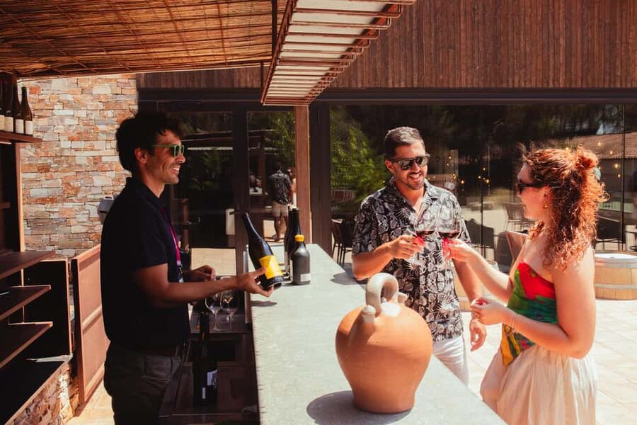 From Barcelona: Full-Day Montserrat & Wine Small Group Tour - Why this Barcelona day trip works