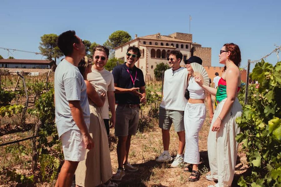From Barcelona: Full-Day Montserrat & Wine Small Group Tour - A castle winery with 36 generations of family ties