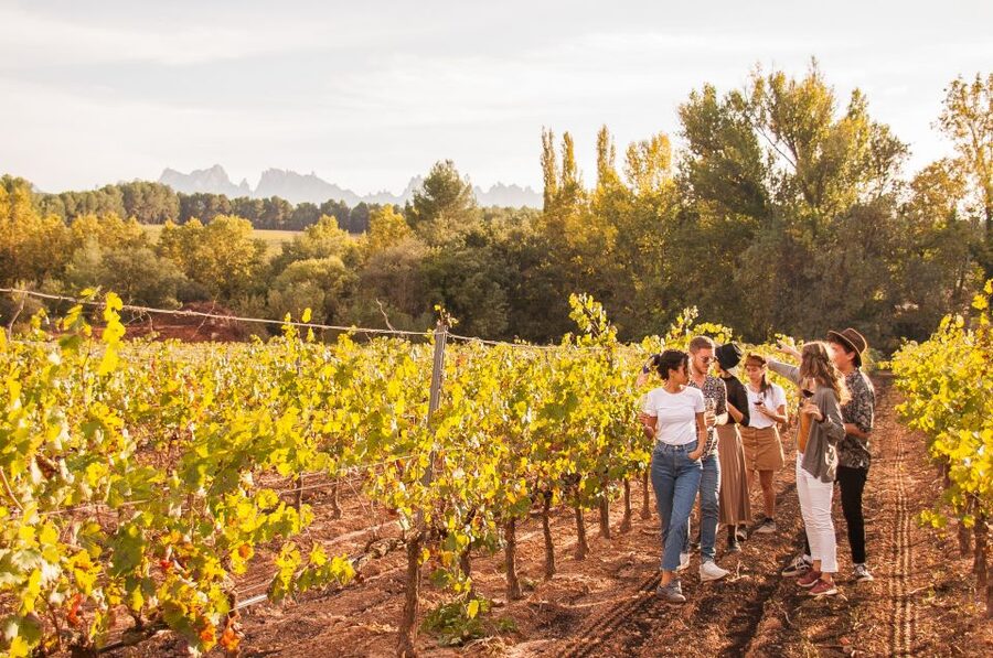 From Barcelona: Full-Day Montserrat & Wine Small Group Tour - What the $117 price really covers