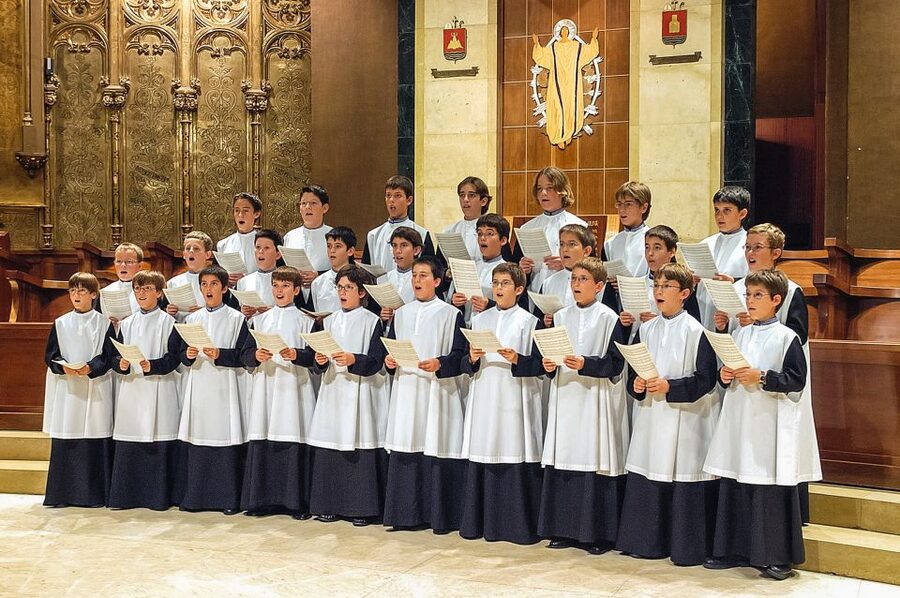 From Barcelona: Montserrat Day Trip with Optional Tickets - Choir, Museum, and Basilica Timing