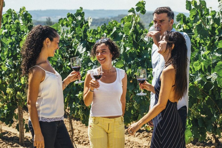 From Barcelona: Penedés Vineyards Tour by 4WD w/Wine & Cava - Key points at a glance
