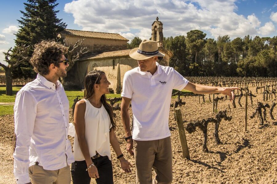 From Barcelona: Penedés Vineyards Tour by 4WD w/Wine & Cava - FAQ
