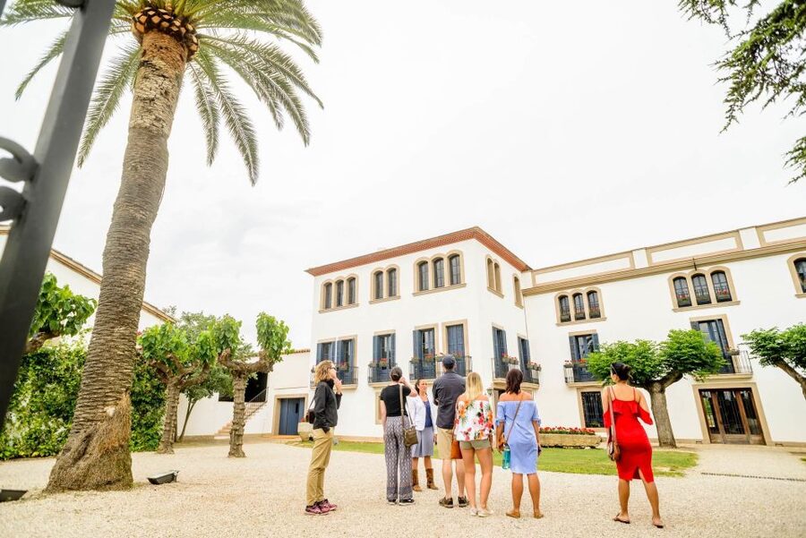 From Barcelona: Penedés Vineyards Tour by 4WD w/Wine & Cava - Seven tastings, not seven full glasses