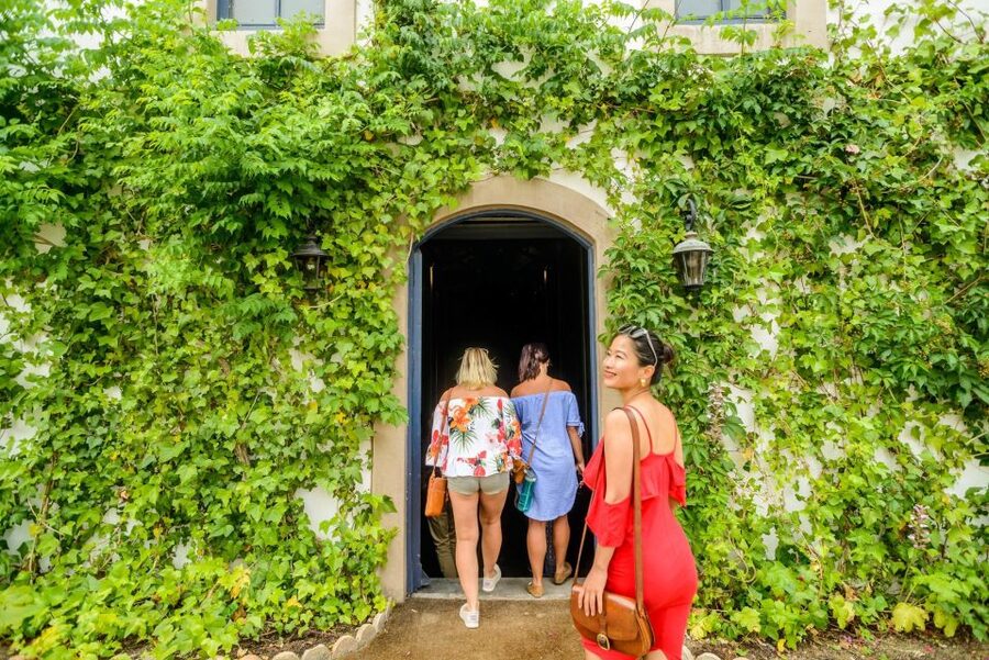 From Barcelona: Penedés Vineyards Tour by 4WD w/Wine & Cava - Should you book it?