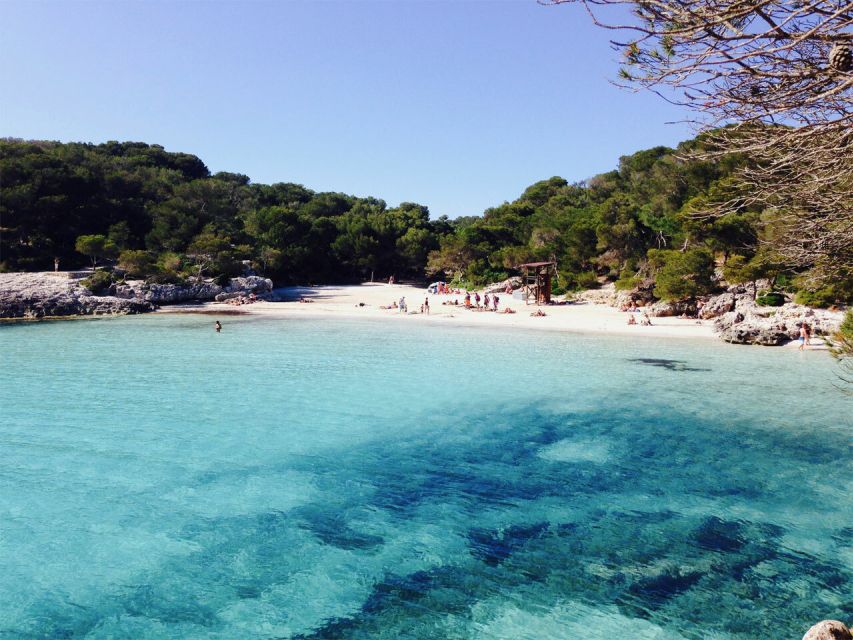 From Cala Galdana: 2-Hour Glass-Bottom Boat Trip - The One-Hour Stop at Cala de Trebalúger