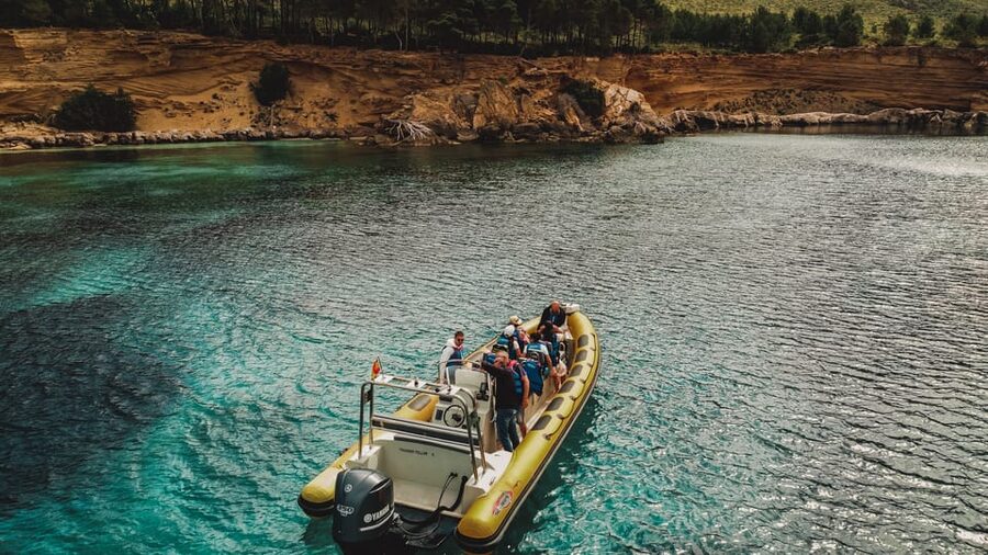 From Can Picafort: Dolphin Watching and Cave Boat Trip - Key points at a glance