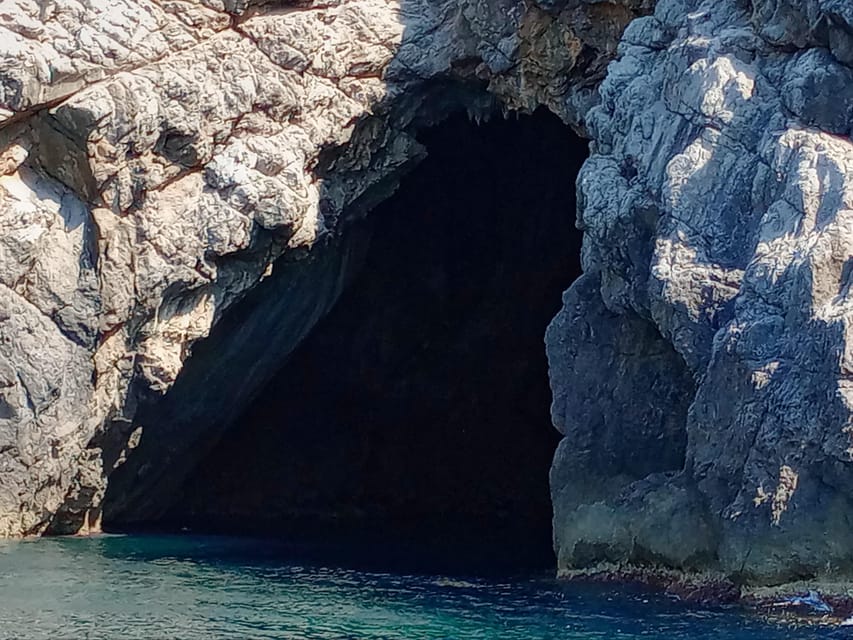 From Can Picafort: Dolphin Watching and Cave Boat Trip - Languages and practical planning