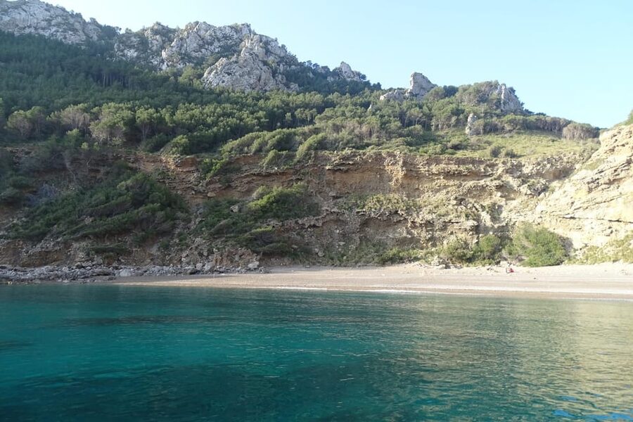From Can Picafort: Dolphin Watching and Cave Boat Trip - Sunrise over Mallorca’s north coast