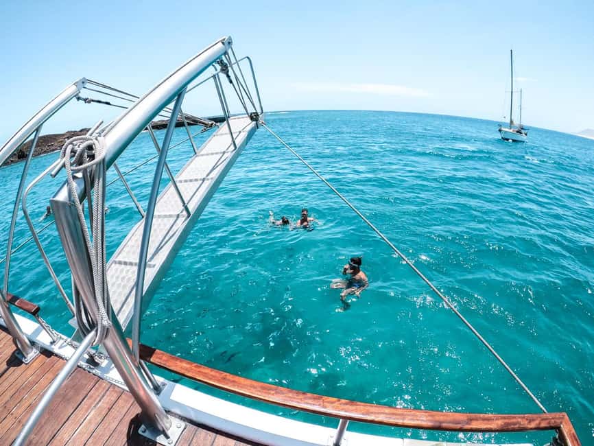 From Corralejo: Lobos Island Boat and Snorkel Activity - Twenty-five minutes of snorkeling near Lobos