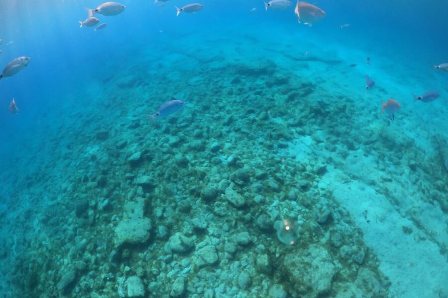 From Corralejo: Lobos Island Boat and Snorkel Activity - Walking across a dry volcanic island