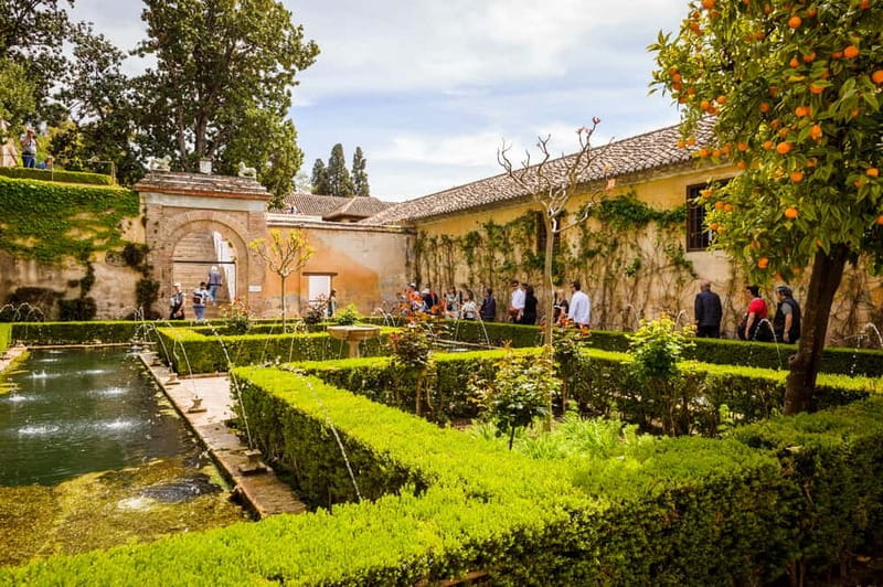 From Costa del Sol: Granada Full-Day Tour - Physical demands and accessibility