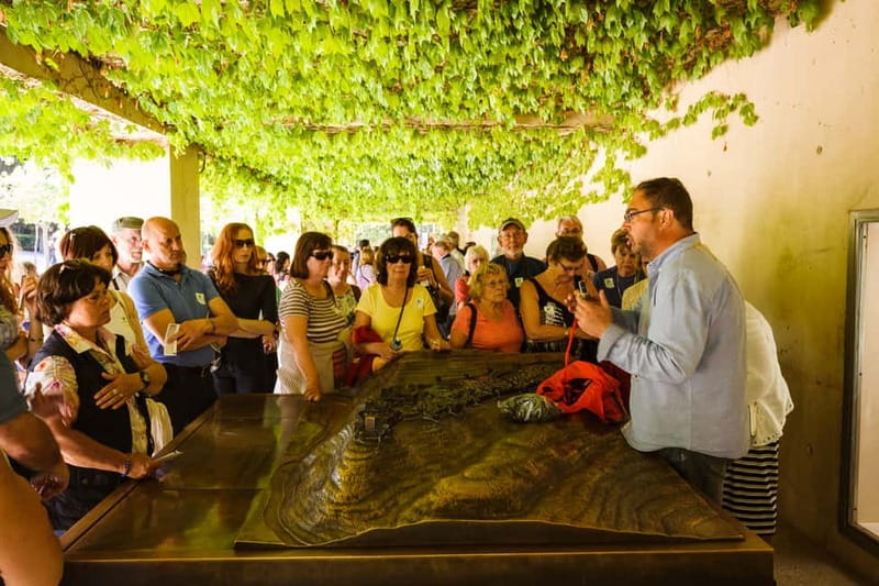 From Costa del Sol: Granada Full-Day Tour - Why Granada makes a strong day trip