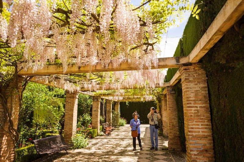 From Costa del Sol: Granada Full-Day Tour - Choosing the right Alhambra option