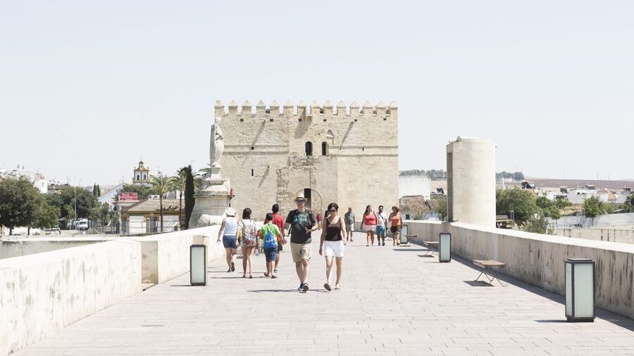 From Costa del Sol & Malaga: Cordoba Guided Day Tour - Why Cordoba is worth a full day from the Costa del Sol
