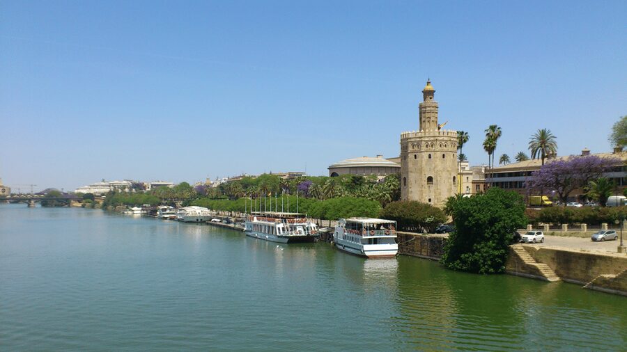 From Costa del Sol & Malaga: Seville Day Trip - Meeting the coach at Torre del Oro