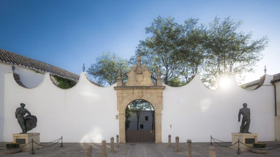 From Costa del Sol: Ronda Village Tour w/ Maestranza Ticket - Why Ronda makes a fine day out from Costa del Sol
