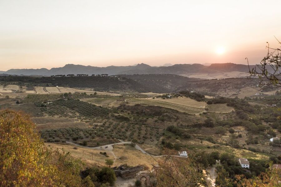 From Costa del Sol: Ronda Village Tour w/ Maestranza Ticket - The coach ride from the Costa del Sol