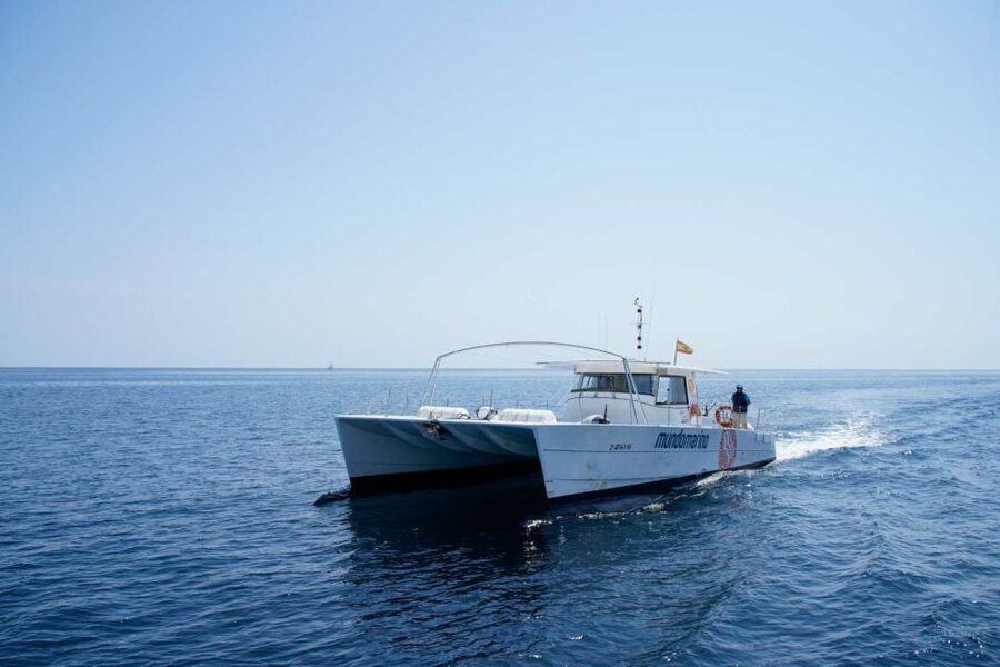 From Denia: Boat Trip to Tallada Cave with Optional Swim - What the catamaran atmosphere is really like