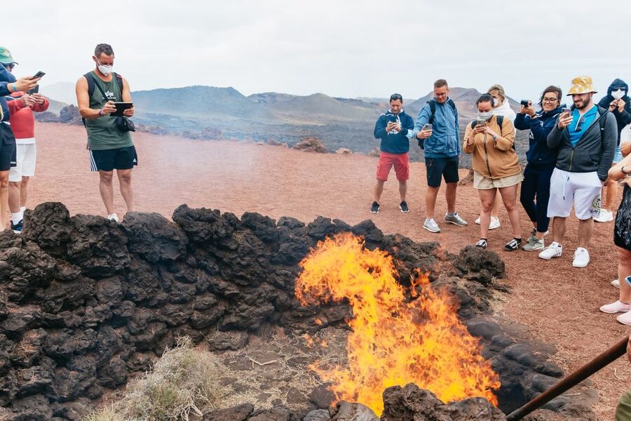 From Fuerteventura: Lanzarote Trip with Wine Tasting & Lunch - Guides, languages, and group organization