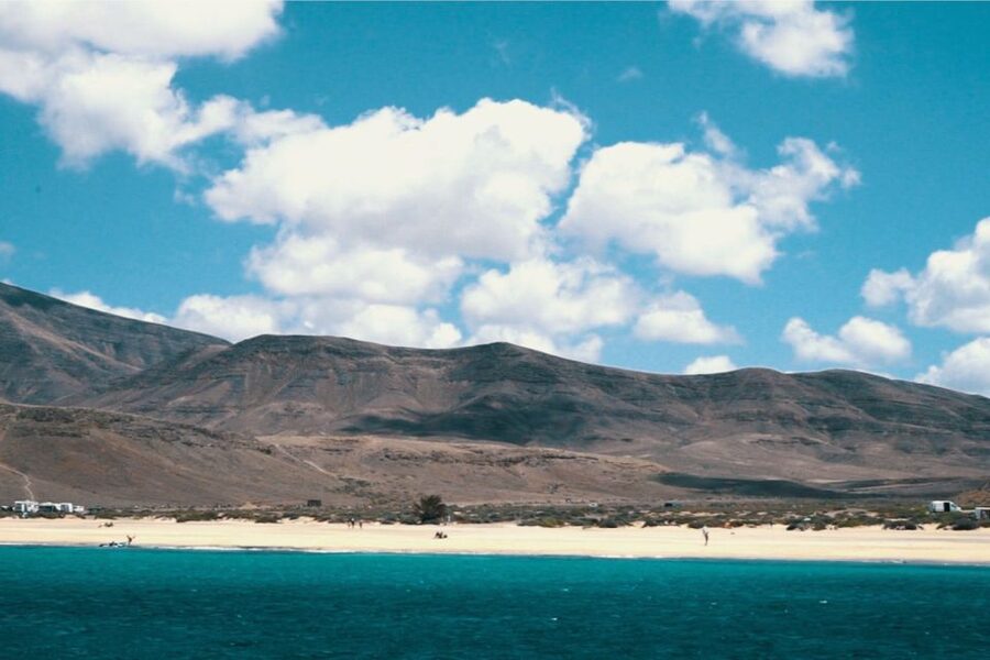 From Fuerteventura: Lanzarote Volcano and Wine Region Tour - A closer look at the Timanfaya visit