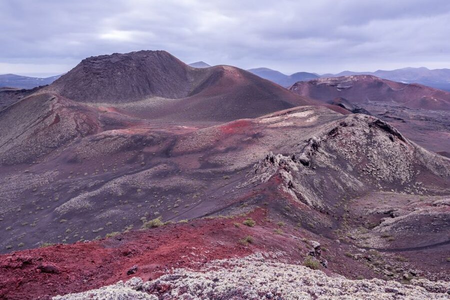 From Fuerteventura: Lanzarote Volcano and Wine Region Tour - The aloe vera museum and shop