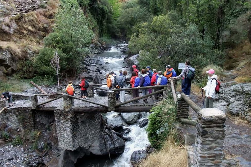 From Granada: Alpujarra Mountain Villages Tour - Guides, language, and the feel of the group