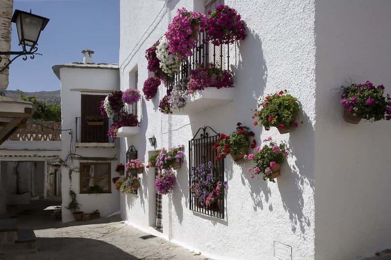From Granada: Alpujarra Mountain Villages Tour - Leaving Granada for Lanjarón’s mineral waters