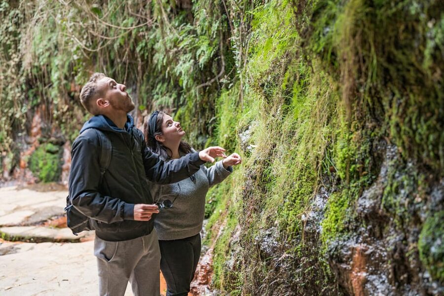 From Granada: Alpujarra Villages Guided Day Tour - Lanjarón, water, and the first mountain views