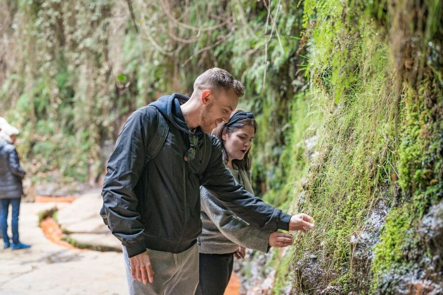 From Granada: Alpujarra Villages Guided Day Tour - Fuente Agria and the Chorrerón waterfall