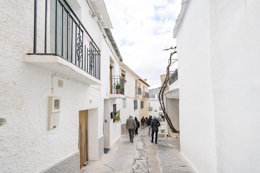 From Granada: Alpujarra Villages Guided Day Tour - Pampaneira and the long lunch break
