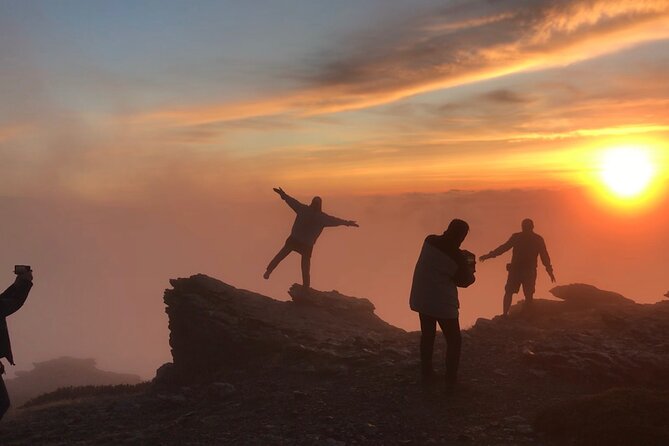 From Granada: Sierra Nevada Safari tour up to 2500 meters high - Leaving Granada for Sierra Nevada National Park