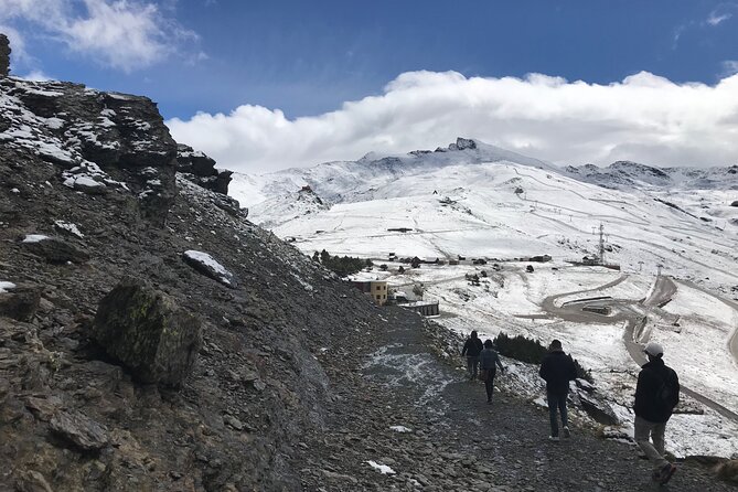 From Granada: Sierra Nevada Safari tour up to 2500 meters high - Price, group size, and overall value