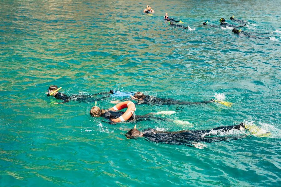From L’Estartit: Snorkeling Trip to the Medes Islands - Key points to know before you book