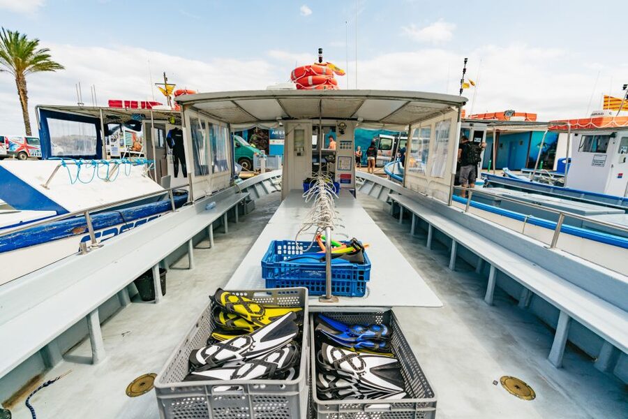 From L’Estartit: Snorkeling Trip to the Medes Islands - Who will enjoy this trip most