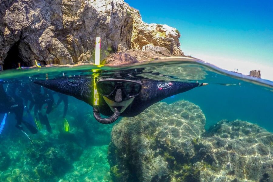 From L’Estartit: Snorkeling Trip to the Medes Islands - A short cruise around the seven islands