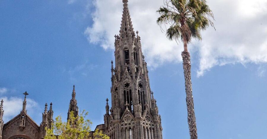 From Las Palmas: Full-Day Tour of the North - Why this northern tour is worth your day
